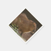 Capybara Serviette (Ecke)