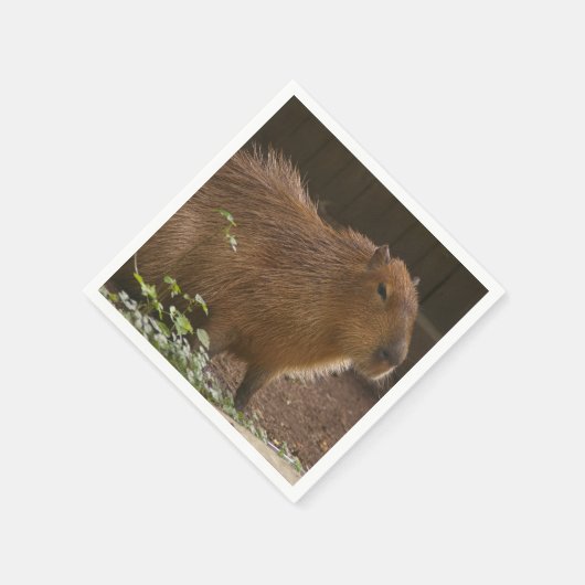 Capybara Serviette (Ecke)