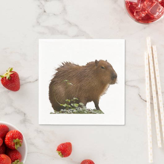 Capybara Serviette (Beispiel)