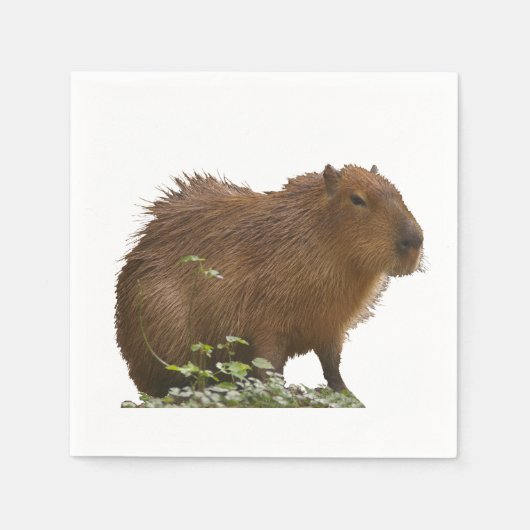 Capybara Serviette (Vorderseite)