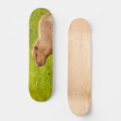 Capybara Skateboard (Vorderseite)