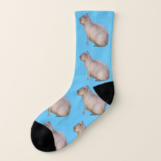 Capybara Socks Socken (Links - Außen)