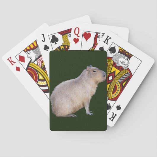 Capybara Spielkarten (Rückseite)