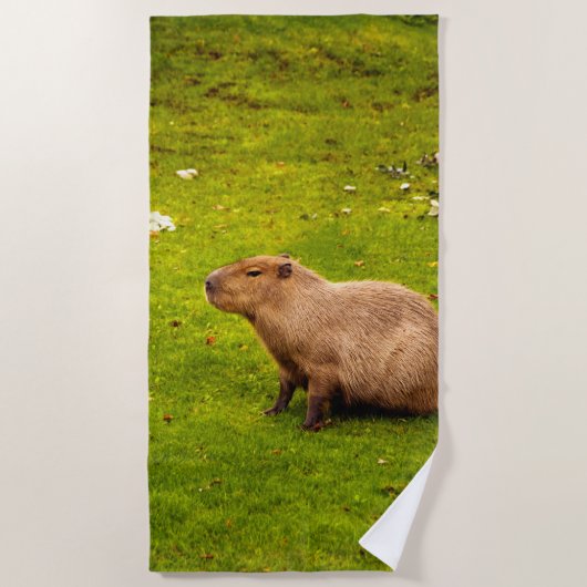 Capybara Strandtuch (Vorderseite)