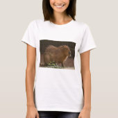 Capybara T-Shirt (Vorderseite)