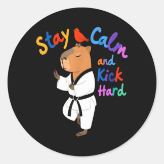 Capybara Taekwondo Bleib ruhig Lustig Runder Aufkleber