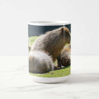 Capybara-Tasse Kaffeetasse