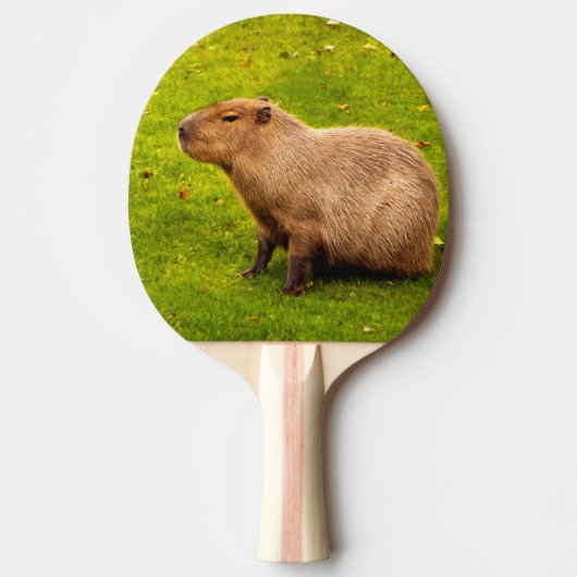 Capybara Tischtennis Schläger (Vorderseite)