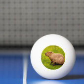 Capybara Tischtennisball (Netto)