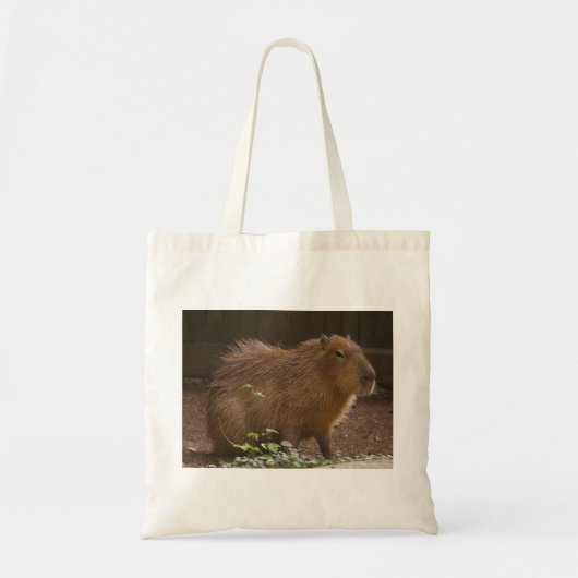 Capybara Tragetasche (Vorne)