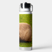 Capybara Trinkflasche (Hinten)