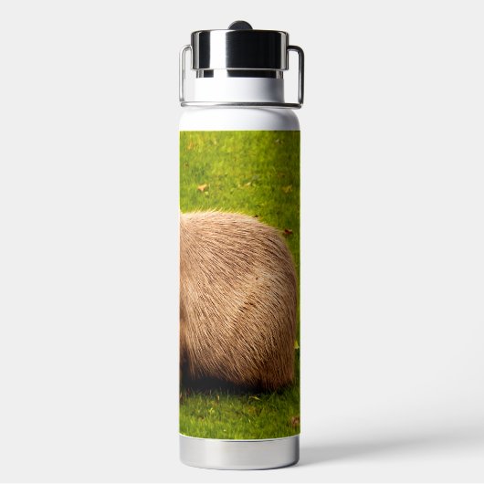 Capybara Trinkflasche (Hinten)