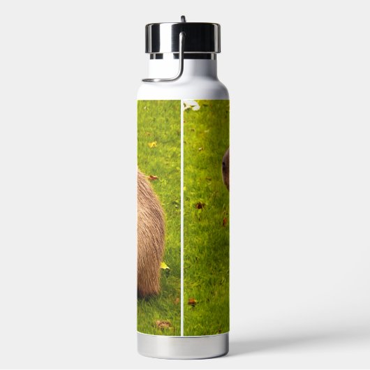 Capybara Trinkflasche (rechts)