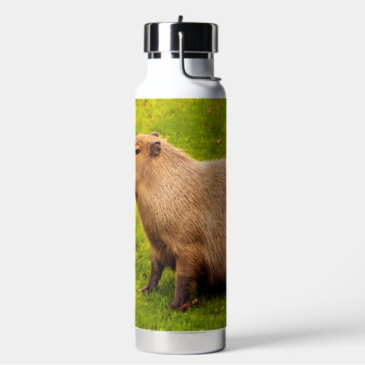 Capybara Trinkflasche (Links)