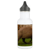 Capybara Trinkflasche (Links)