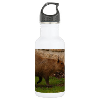Capybara Trinkflasche