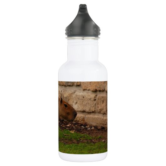 Capybara Trinkflasche (Rechts)