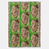 Capybara Trio Decke (Vorderseite Vertikal)