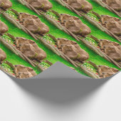 Capybara Trio Geschenkpapier (Ecke)