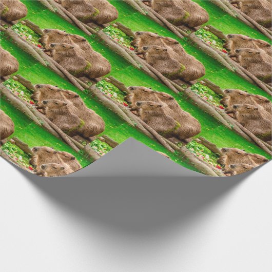 Capybara Trio Geschenkpapier (Ecke)