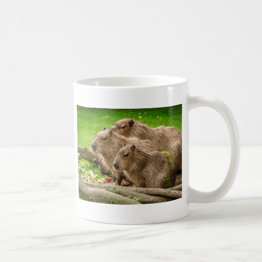 Capybara Trio Kaffeetasse (Rechts)