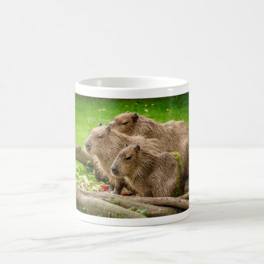 Capybara Trio Kaffeetasse (Mittel)