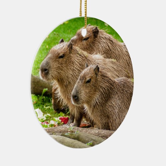 Capybara Trio Keramik Ornament (Rechts)