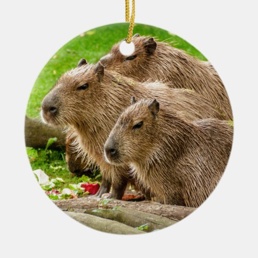 Capybara Trio Keramik Ornament (Vorne)