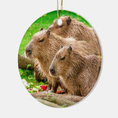 Capybara Trio Keramik Ornament (Links)