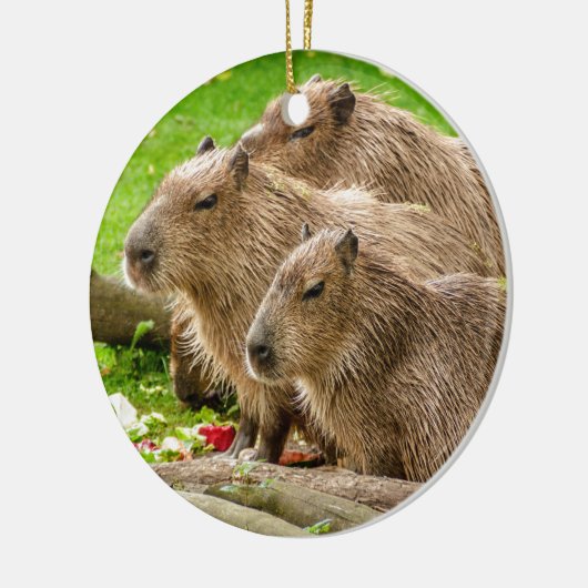 Capybara Trio Keramik Ornament (Links)