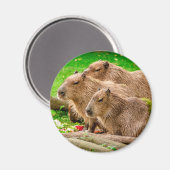 Capybara Trio Magnet (Vorderseite/Rückseite)