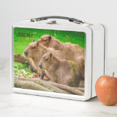 Capybara Trio Metal Lunch Box (Beispiel)