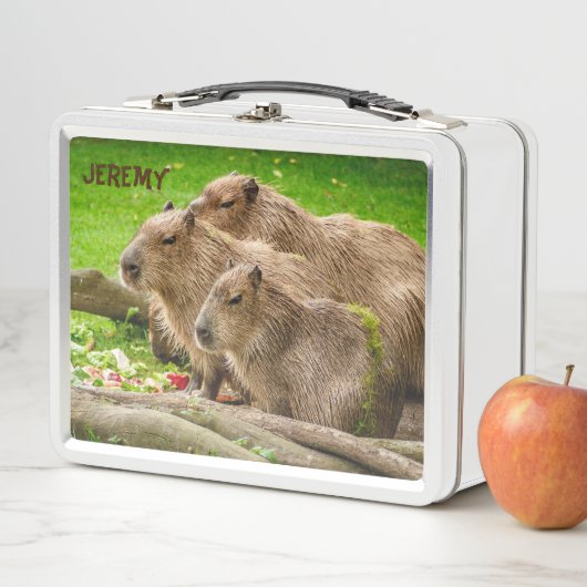 Capybara Trio Metal Lunch Box (Beispiel)