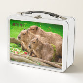 Capybara Trio Metal Lunch Box (Vorderseite)