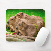 Capybara Trio Mousepad (Mit Mouse)