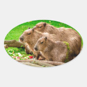 Capybara Trio Ovaler Aufkleber (Vorderseite)