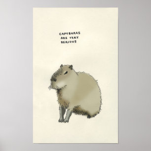 Capybara trivia poster