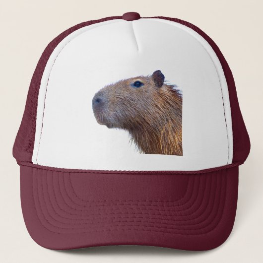 Capybara Truckerkappe (Vorderseite)