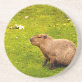 Capybara Untersetzer