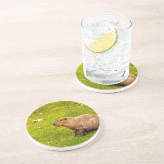 Capybara Untersetzer (Seite)