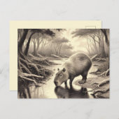 Capybara Vintag Etching Postkarte (Vorne/Hinten)