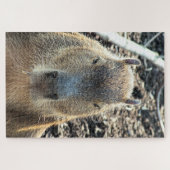 CAPYBARA WILD TIER PUZZLE (Horizontal)