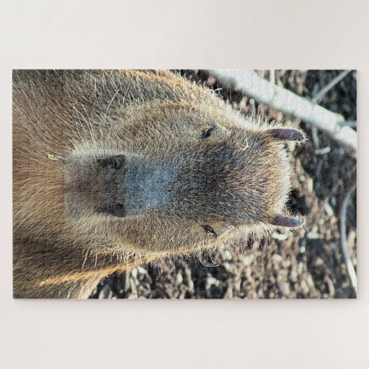 CAPYBARA WILD TIER PUZZLE (Horizontal)