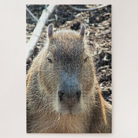 CAPYBARA WILD TIER PUZZLE (Vertikal)