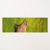 Capybara Yogamatte (Vorderseite (Horizontal))