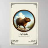 Capybara-Zoologie-Serie Poster (Vorne)