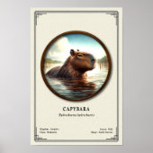 Capybara-Zoologie-Serie Poster (Vorne)