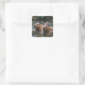 Capybaras' Swimming In The River,  Quadratischer Aufkleber (Tasche)