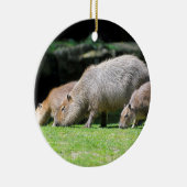 Capybaras-Weide Keramikornament (Rechts)