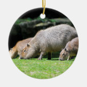 Capybaras-Weide Keramikornament (Vorne)